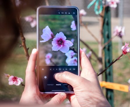 Samsung Probes Camera Blur Problem on Galaxy S26 Ultra