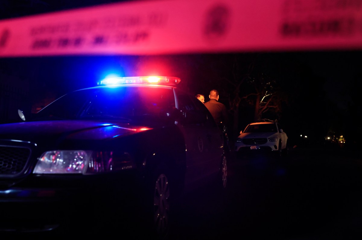 Sensitive LAPD Police Documents Stolen and Leaked by Hackers