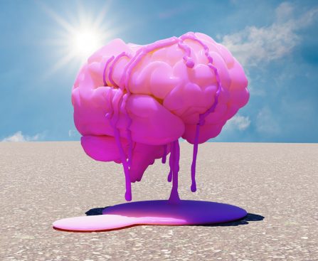 Silicon Valley Has Lost Touch with Everyday People's Needs