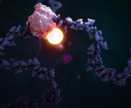 STORM Therapeutics, a Cambridge Biotech, Raises $56M