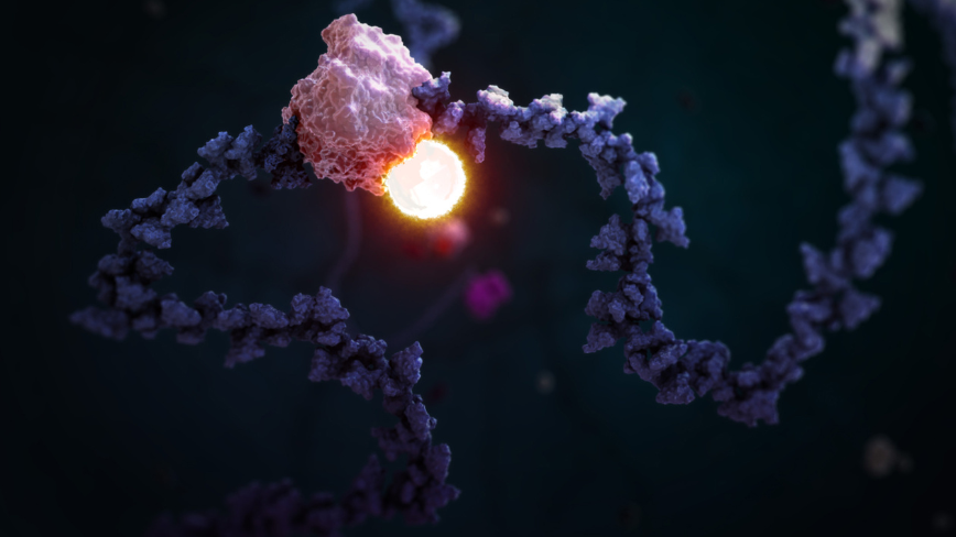 STORM Therapeutics, a Cambridge Biotech, Raises $56M