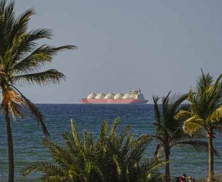 Strait of Hormuz Blockade Triggers Gradual Food Crisis