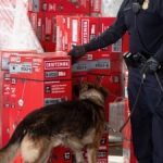 Tariff Refund Website: What It Is and How to Use It