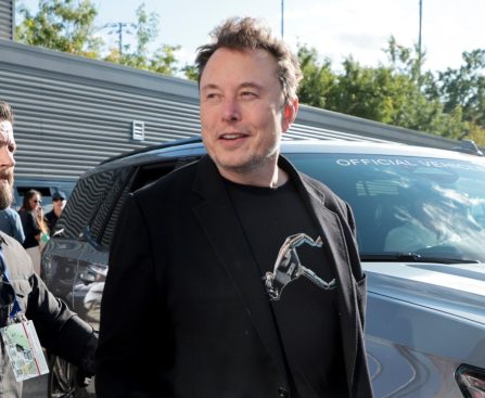 Tesla Eliminates Musk’s $29B ‘Interim’ Award Following Delaware Court Reinstatement of Larger Pay Package