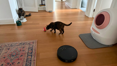 The 8 Best Vacuums for Pet Owners: Powerful Hair Pickup to Livestream Cameras