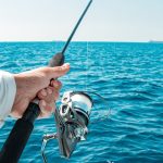 The Result of TactiBite Fish Call Following Shark Tank Season 8