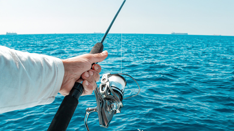 The Result of TactiBite Fish Call Following Shark Tank Season 8