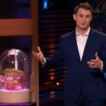 The Terrashroom's Result Following Shark Tank: Updates After Season 16
