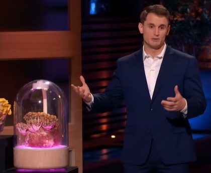 The Terrashroom's Result Following Shark Tank: Updates After Season 16