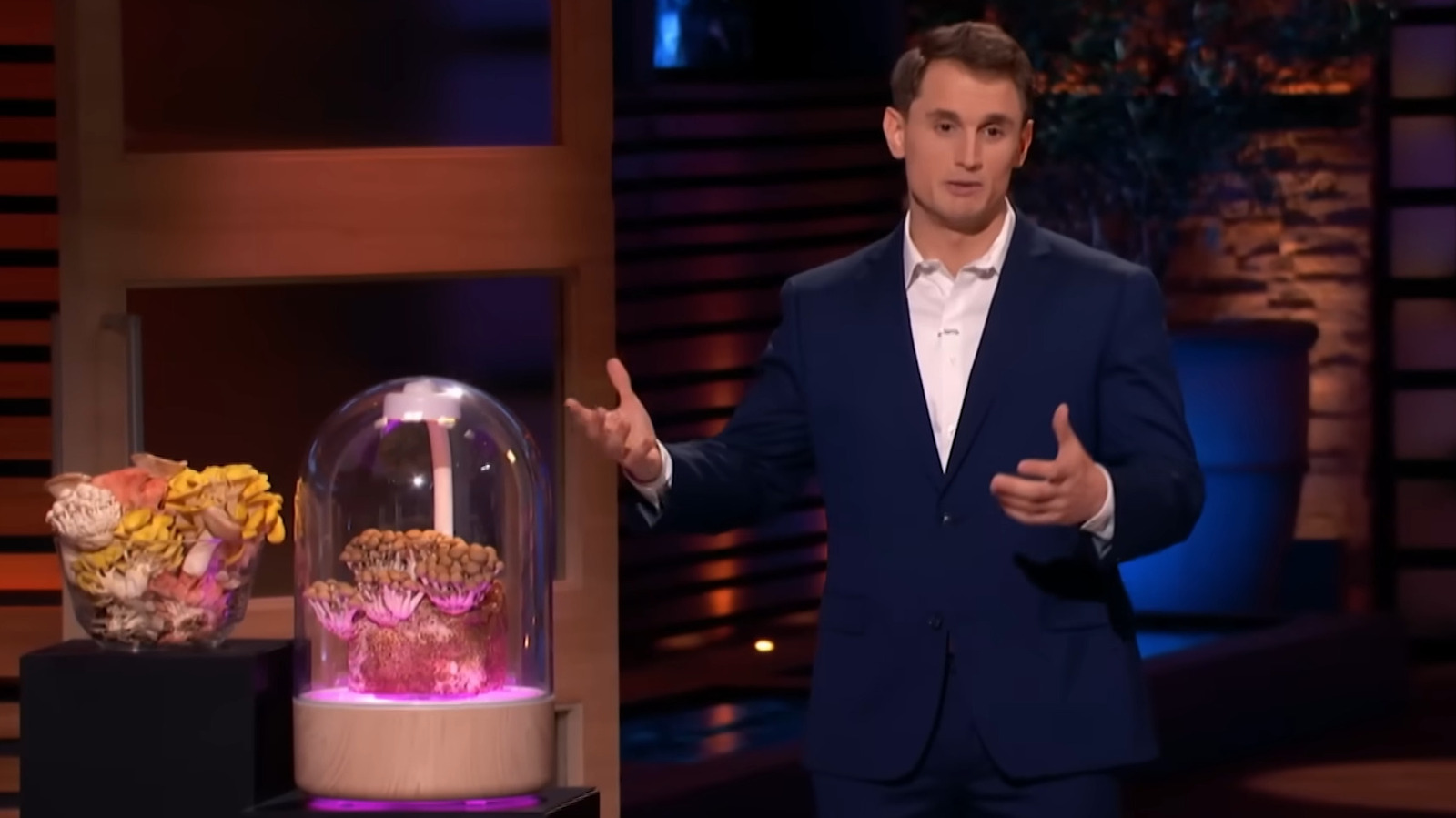 The Terrashroom's Result Following Shark Tank: Updates After Season 16