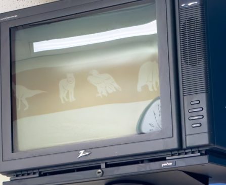 The Vanishing of Zenith TVs: The Fall of a U.S. Brand