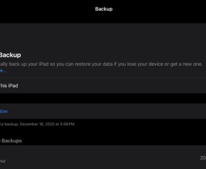 Three Efficient Techniques for Securely Storing Your iPad Data