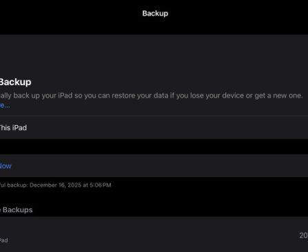 Three Efficient Techniques for Securely Storing Your iPad Data