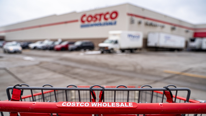 Top 10 Unique Online Tech Offerings Available at Costco