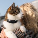 Tractive's New Dog and Cat Trackers Offer More Health Insights for Your Pets