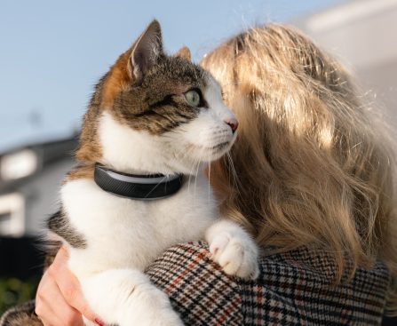 Tractive's New Dog and Cat Trackers Offer More Health Insights for Your Pets