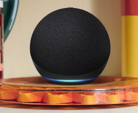 Uncover the Emergency Assist Function on Your Alexa Speaker You Might Not Have Tried