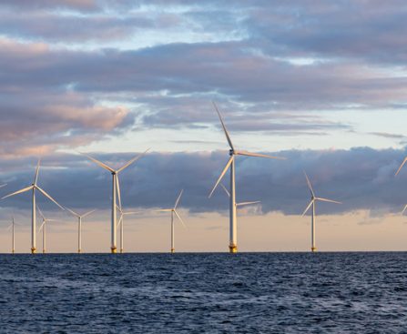 Unforeseen Impacts of Offshore Wind Farms on Regional Fauna