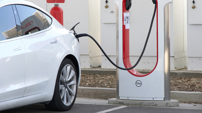 Why Tires on Electric Vehicles Deteriorate More Quickly Than Those on Gas-Powered Cars