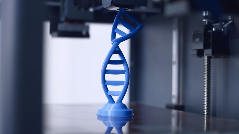 3D Printer Brands to Steer Clear of According to User Feedback