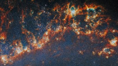 A Curious Pattern Emerges from Thousands of Star Baby Clusters