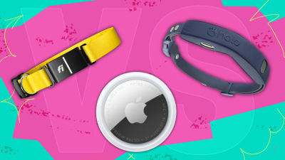 AirTag vs. GPS Collar: Which is Best for Tracking Your Dog? Insights from an Expert