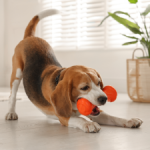Amazon Pet Days is officially live — shop pet cameras, trackers, and more