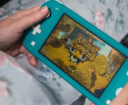 Assessing the Worth of the Nintendo Switch Lite in 2026