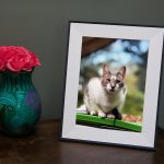 Aura's delightful Aspen photo frame is on sale for $30 off this weekend