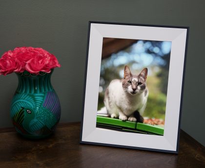 Aura's delightful Aspen photo frame is on sale for $30 off this weekend