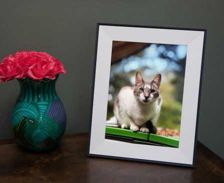 Aura's delightful Aspen photo frame is on sale for $30 off this weekend