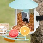Birdfy's Smart Bird Feeder is at Its Best-Ever Price for Mother's Day