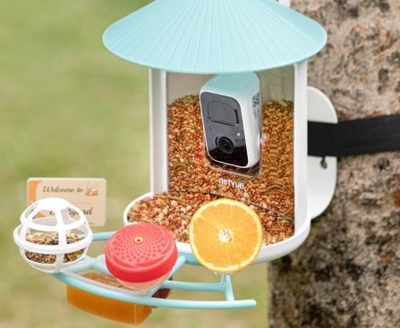 Birdfy's Smart Bird Feeder is at Its Best-Ever Price for Mother's Day