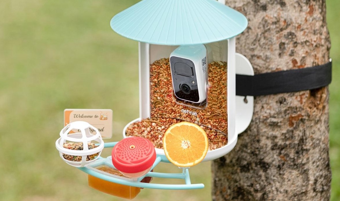 Birdfy's Smart Bird Feeder is at Its Best-Ever Price for Mother's Day