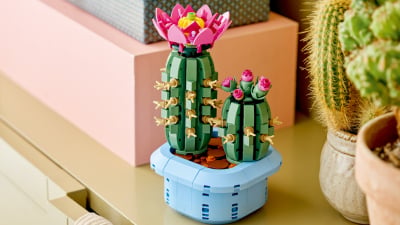 Can't keep a plant alive? Get the Lego Botanicals Flowering Cactus at 20% off.