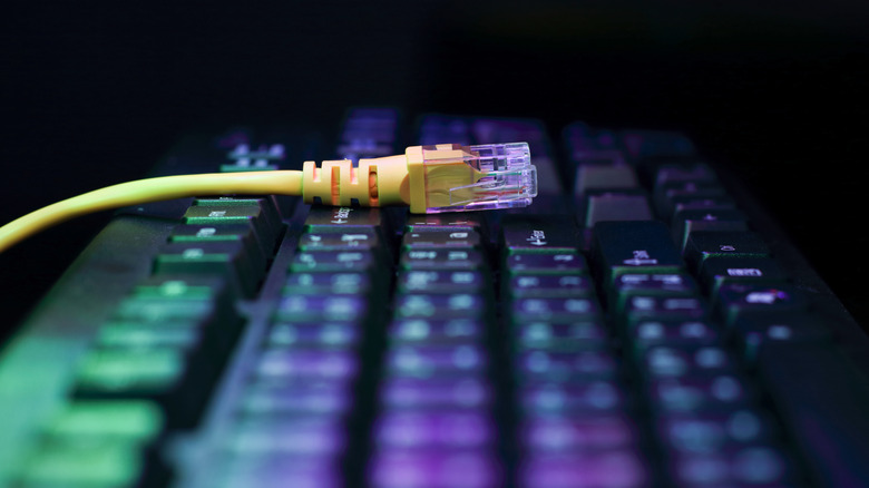 Contrasting DHCP and Static IP: Selecting the Ideal Choice for Your Home Internet