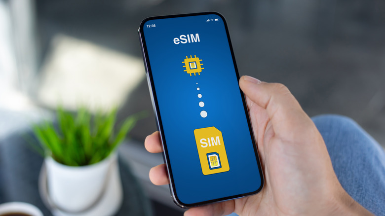 Disproving the Fallacy of eSIM Internet Velocity
