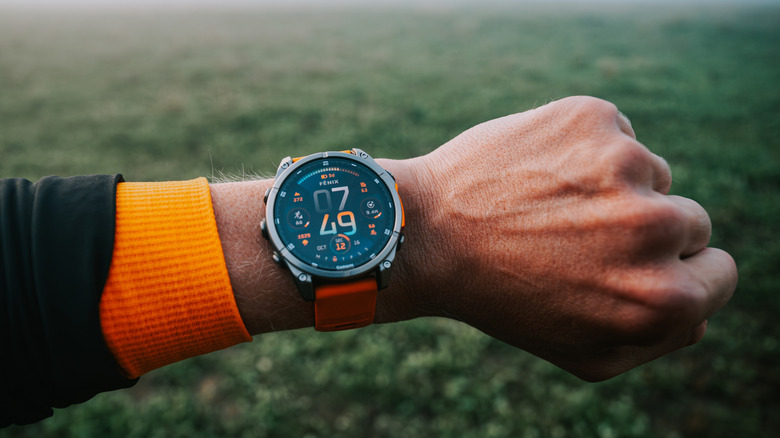 "Distinct Characteristics of Garmin Timepieces in Contrast to Apple Timepieces"