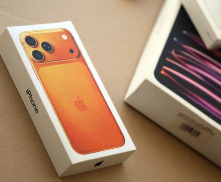 Distinctive Privacy Attributes Exclusive to Apple