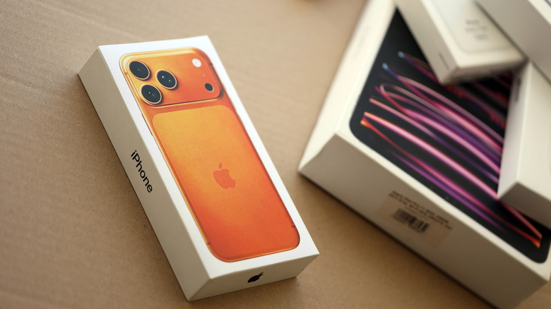 Distinctive Privacy Attributes Exclusive to Apple
