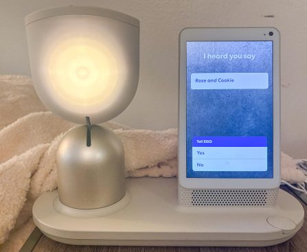 ElliQ: A Remarkably Helpful Companion Robot for Older Adults