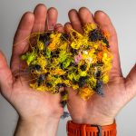 Essential Details for Acquiring a Color 3D Printer