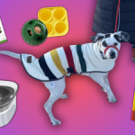 Essential Purchases for First-Time Dog Owners During Amazon Pet Week