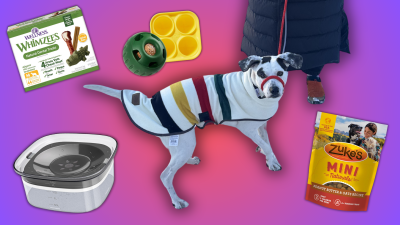 Essential Purchases for First-Time Dog Owners During Amazon Pet Week