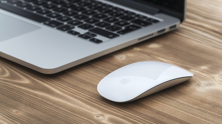 Five Excellent Options to the Apple Magic Mouse