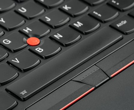 Function of the 'Red Button' on a Lenovo ThinkPad