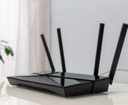 Grasping Dual-Network Routers: Their Role and Operation