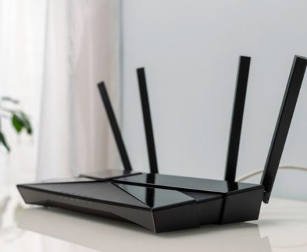 Grasping Dual-Network Routers: Their Role and Operation