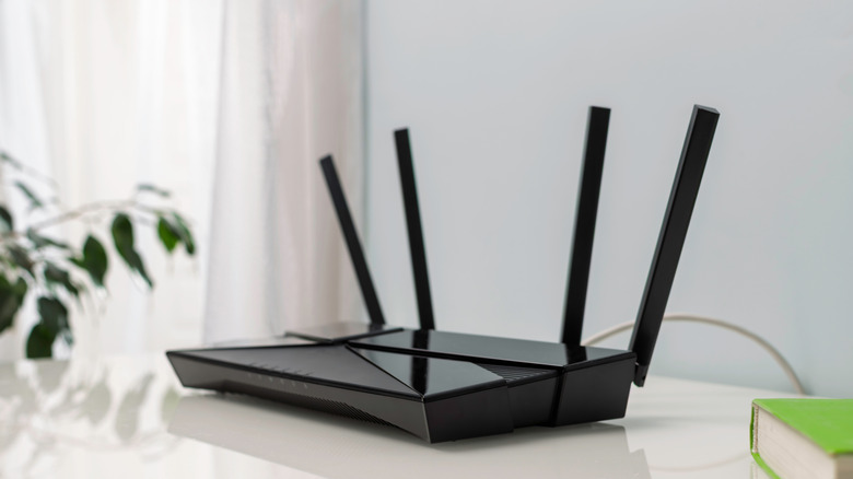 Grasping Dual-Network Routers: Their Role and Operation