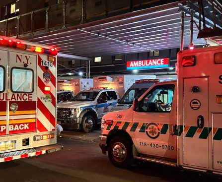 Hackers Steal Medical Data and Fingerprints of 1.8 Million in NYC Health and Hospitals Breach